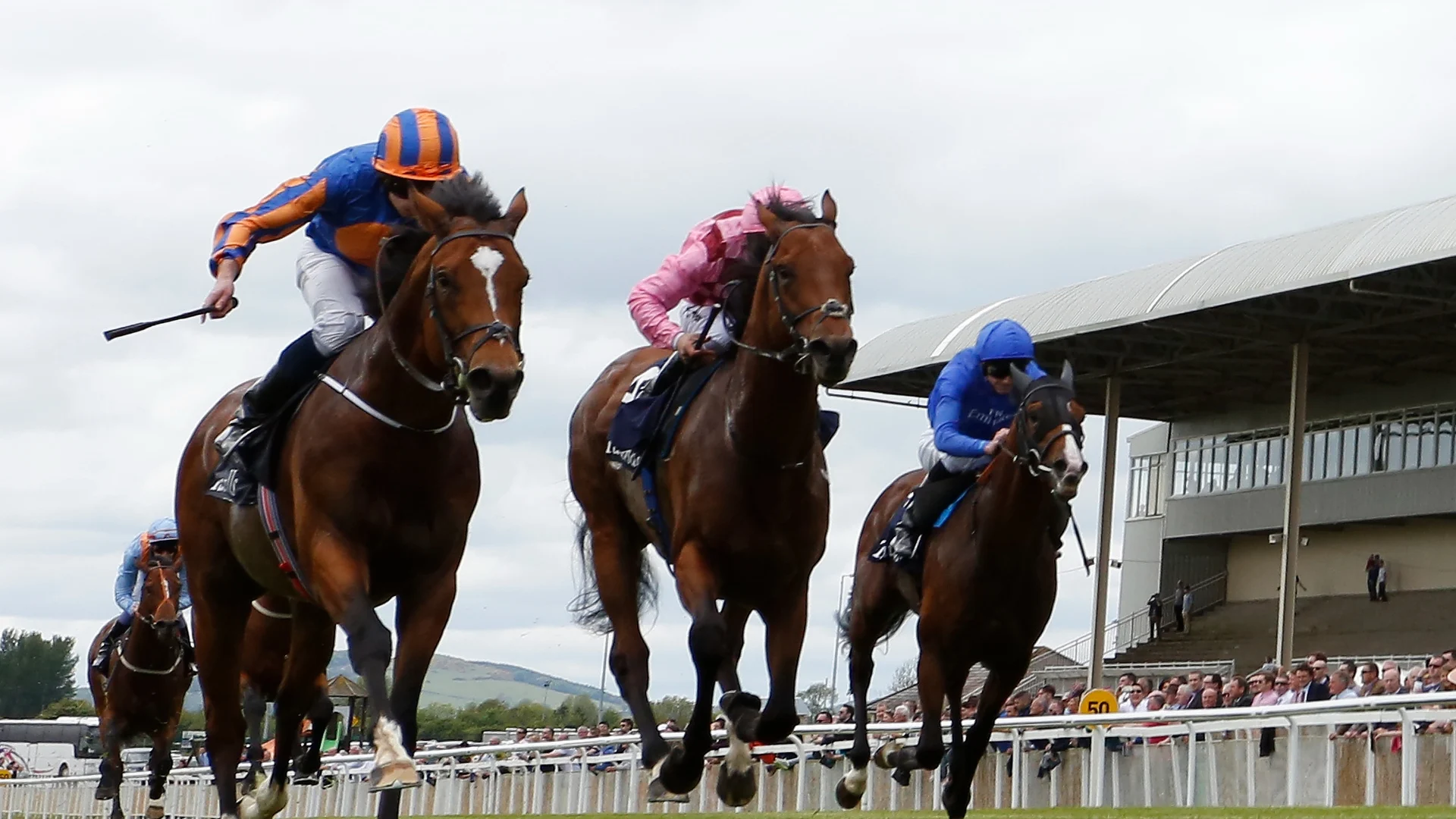 The Guineas round-up