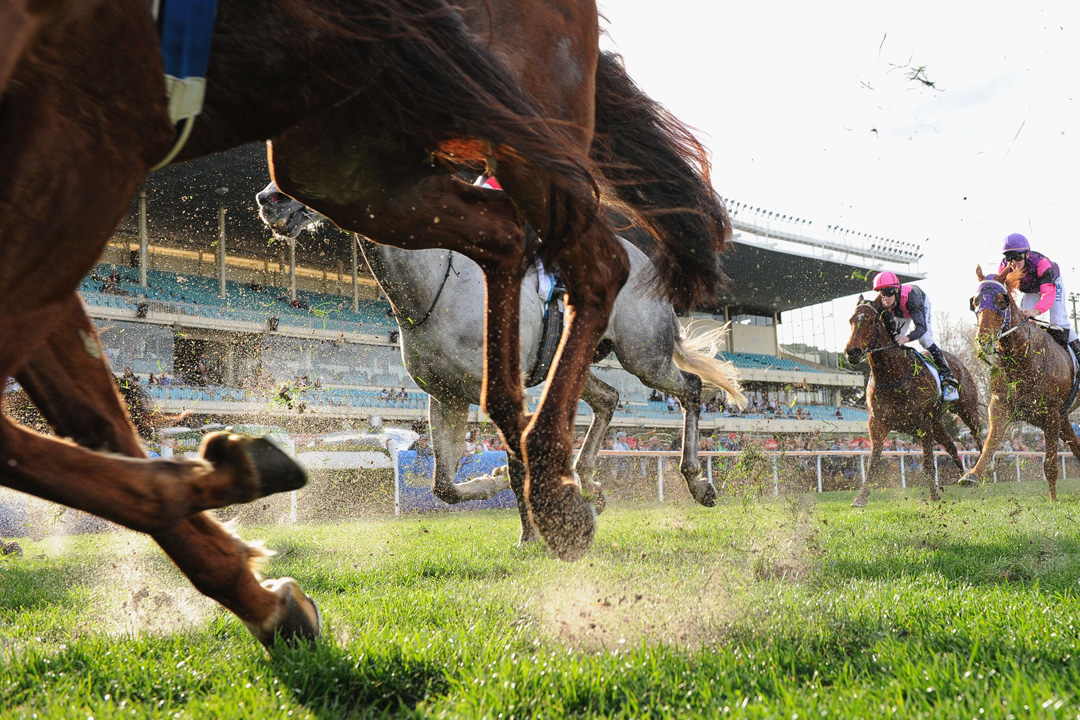 2 Year-Olds who have caught my attention