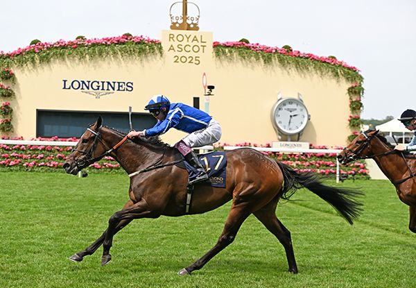 America Queen or Venetian Sun?